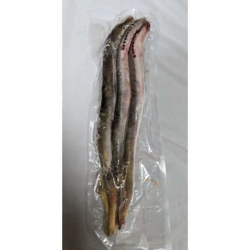 Frozen / Dead Bait - Lamprey Eel Whole (Size & Quantity varies according to availability)