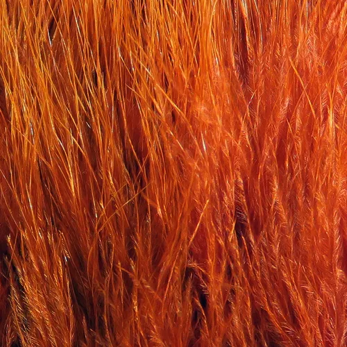 Hareline X-Select Marabou
