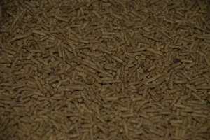 Ken's Premium Mini Solder Fly Larvae Sticks